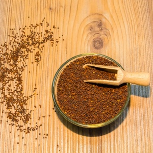 GORCZYCA CZARNA