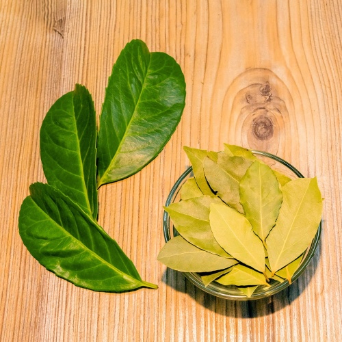 Przyprawa liść laurowy