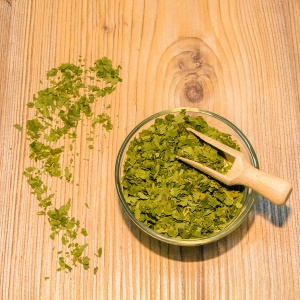 CZOSNEK NIEDŹWIEDZI